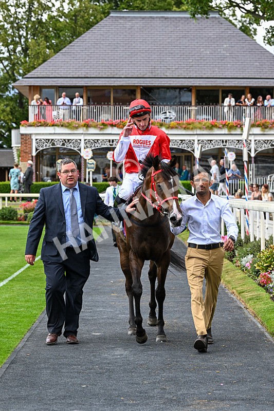 250726-Race 5-Rogue Jewel-1119 - Race 5 15.42pm Sky Bet Price Boosts EBF Fillies' Novice Stakes