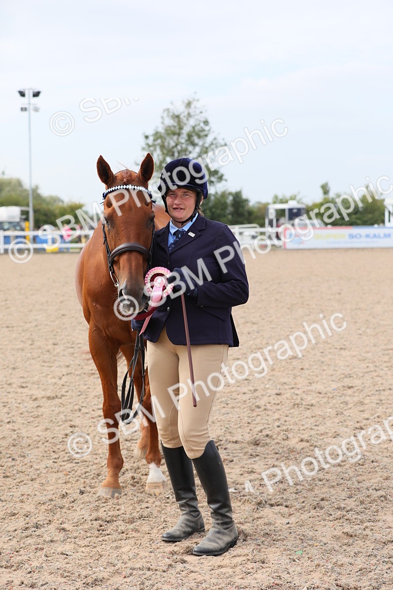 SBM_15985 - Class 313 IH Retired Racehorse