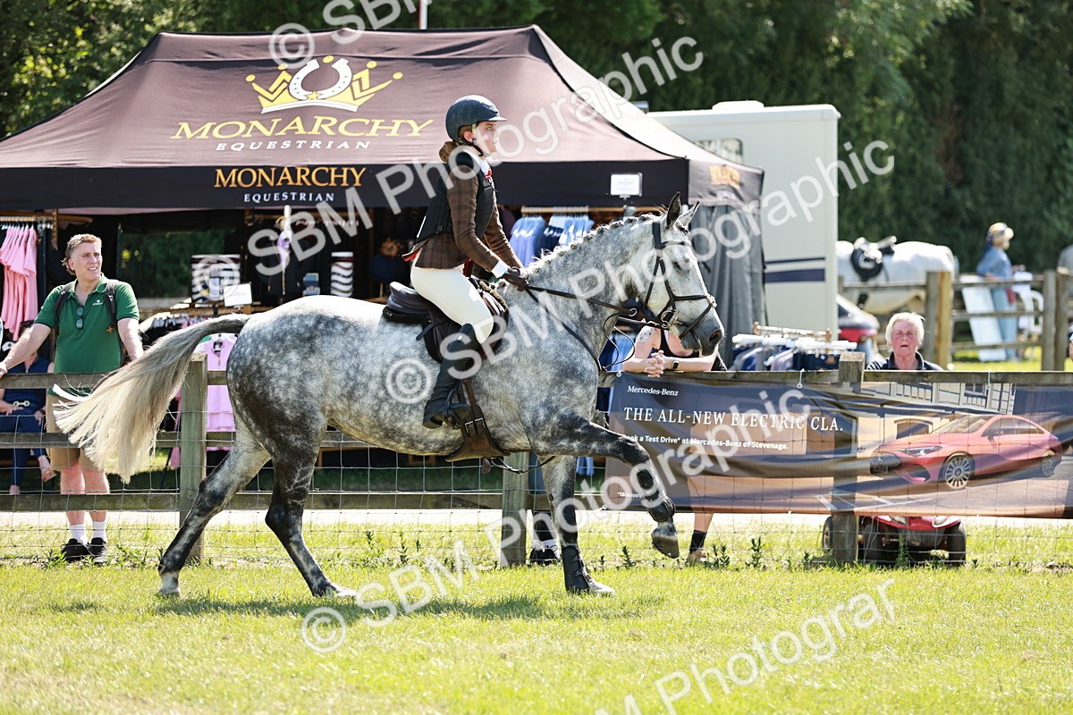 SBM_18383 - Class 112-113 - BSPS LIHS Working Sports Pony