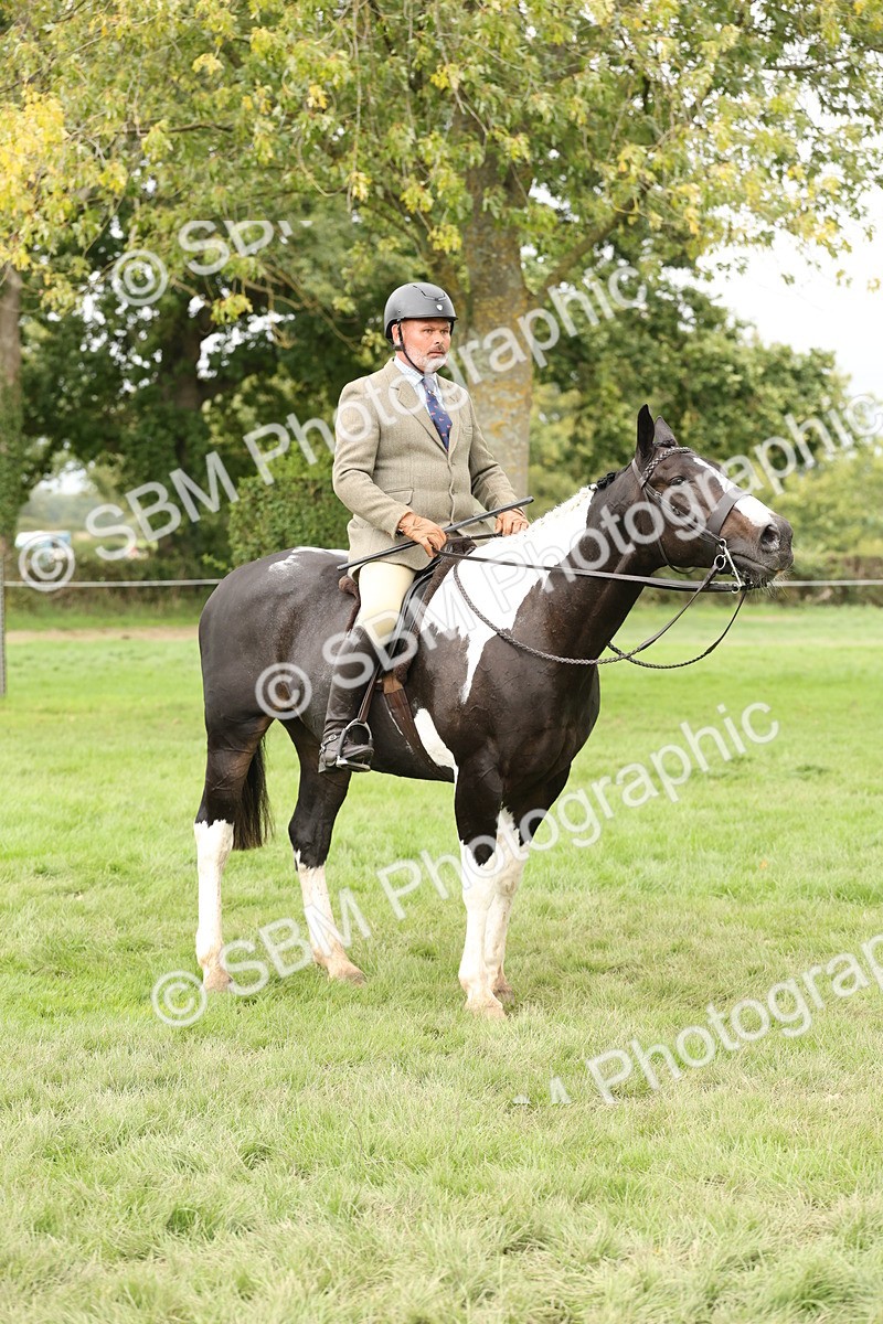 SBM_67282 - S67 - Piebald & Skewbald Horse Ridden