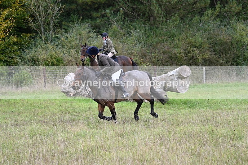 WJ7_3850 - Camera 1 Line 1