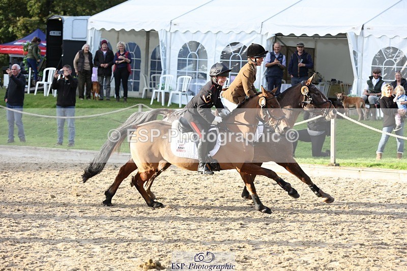 241027-152710-18315 - Presentations - BE100 3DE