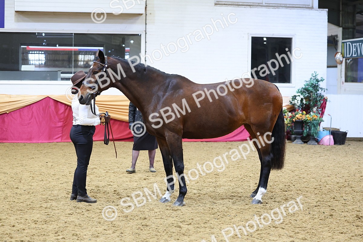 SBM_21086 - Class 902 - Supreme Final IH Veteran