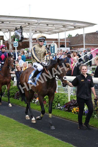 yr11062022r1-117 - Race 1 12.45pm Macmillan Ride of Their Lives, supported by Sky Bet