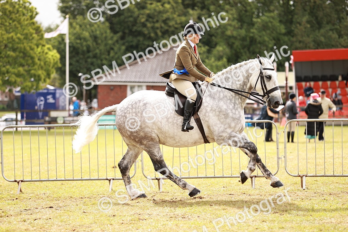 SBM_11577 - Class 81-84 - RIHS Ridden hunters Inc Ladies Hunter