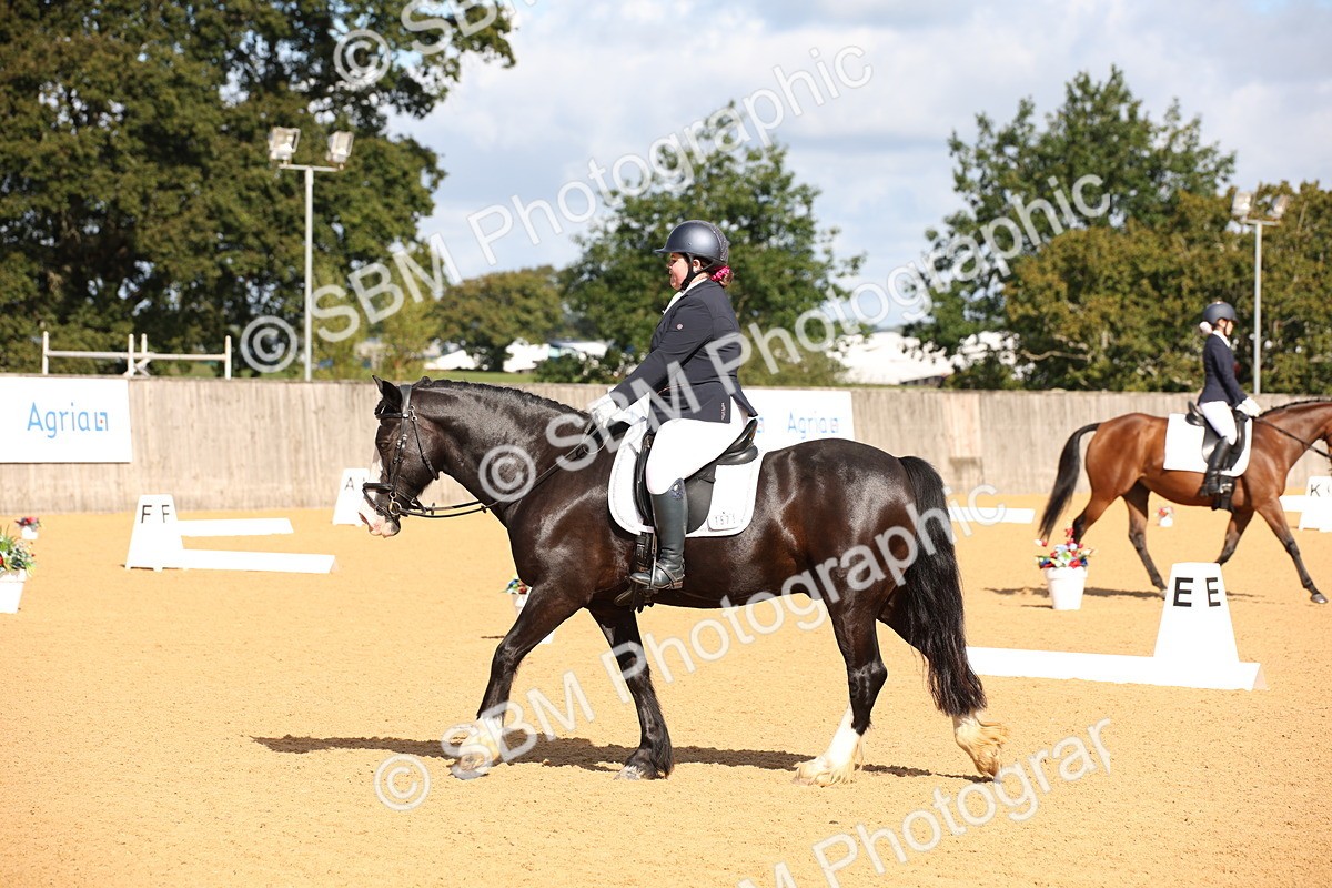 SBM_04194 - D2 Small Tour Championship Intro C