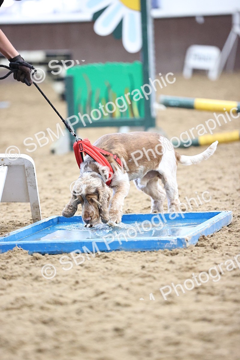 SBM_001349 - Class 3 - Horse & Hound 60cm