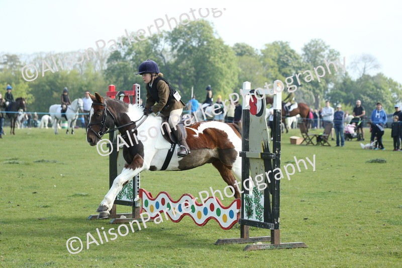 20260426-0070 - Class 13 - Rookie Jumping 50cm