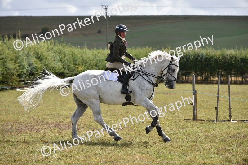 20250831-4127 - Class 13 - Working Hunter Horse or Pony