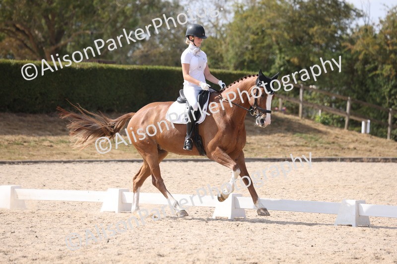 20260815-1134 - Class 6 - Novice 2