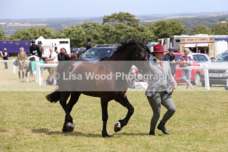 1X9A4859 - Class 35: Veteran In Hand