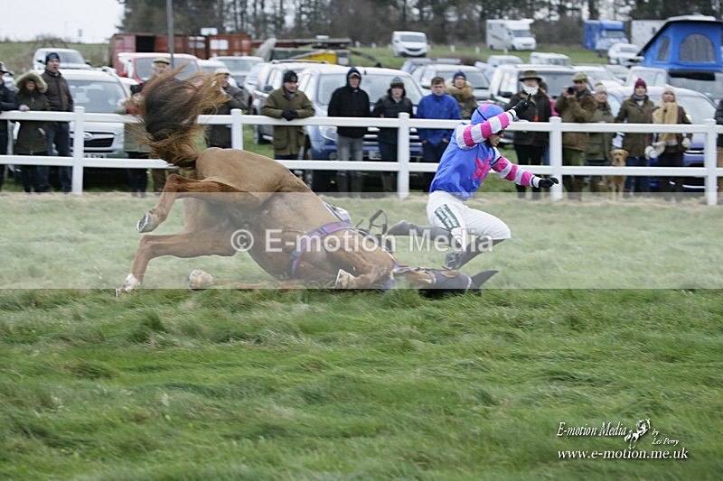 PtP 281121 0581 - Hursley Hambledon Point-to-Point Larkhill 28/11/21
