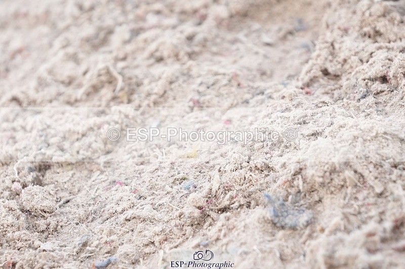 250921-133134-03370 - Cls 15-17 CoH 90cm, 1m and 1.10m