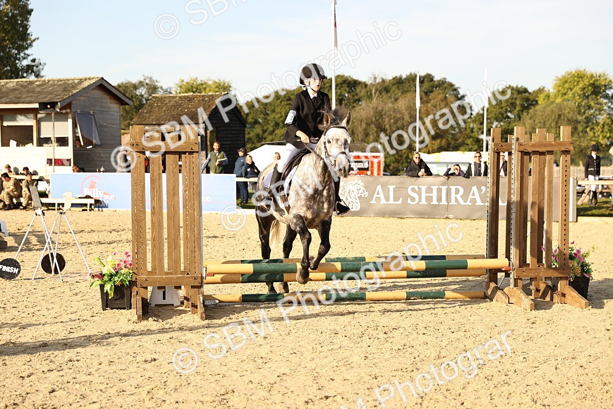 SBM_59490 - J11 - Junior Pony 50cm Championship