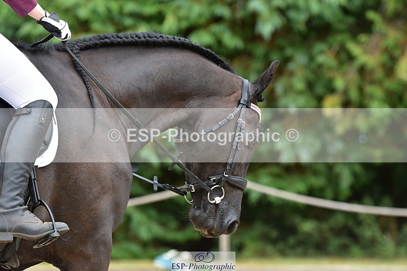 250719A-152342-06796 - 099-Paige.Beattie-Orcaber.Dark.Secret