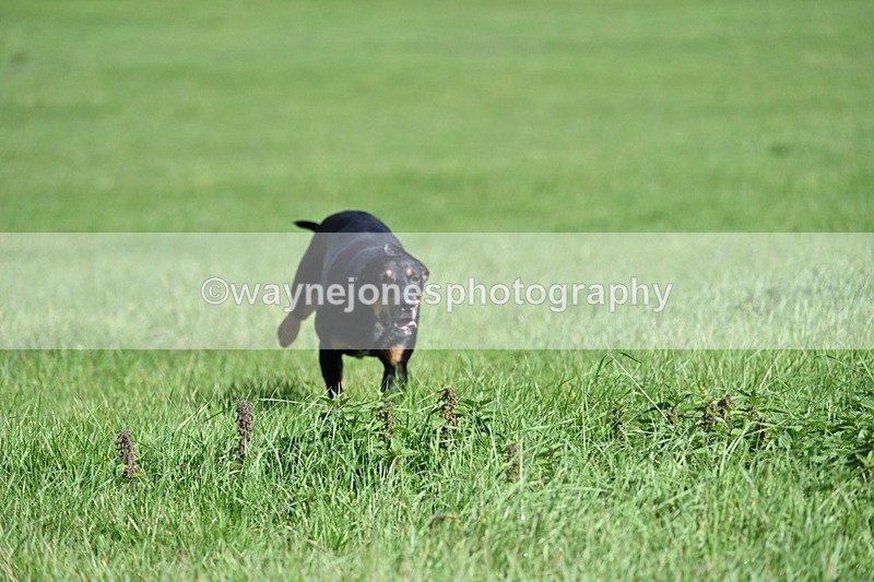 WJ7_6120 - Line Two