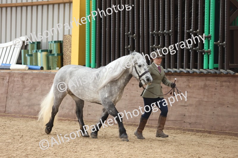 20251109-1028 - Class 28 - Mares 4 Years and over