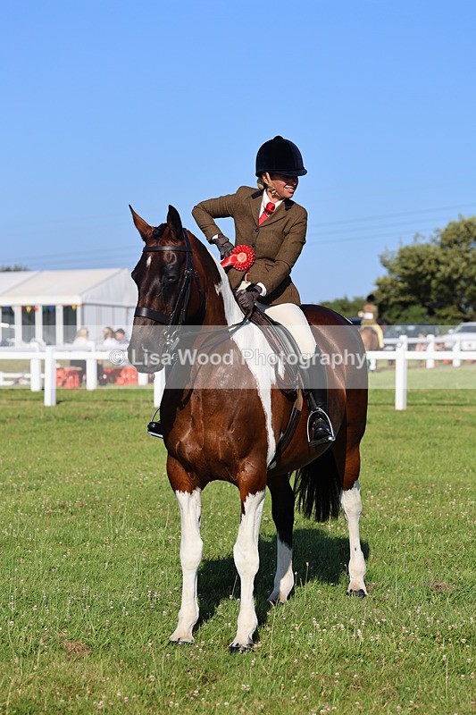 IMG_1342 - Class 27: Ridden Plaited Coloured Horse