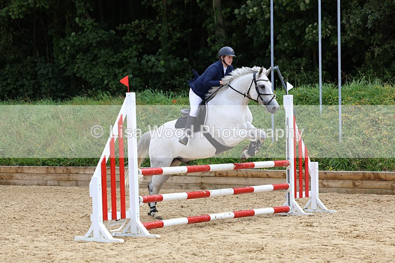 3E7A0110 - Class 9: Senior British Novice/90cm open