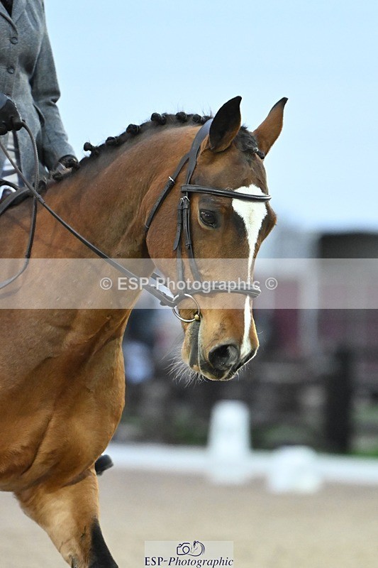 241103-162641-03001 - Prelim 2 - 15.59 to 17.10