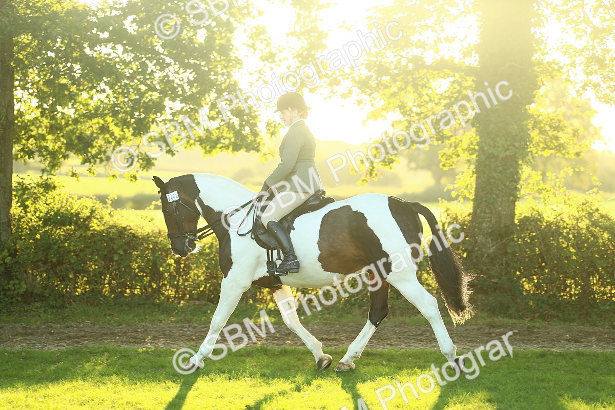 SBM_56488 - S14 - Riding Club Horse