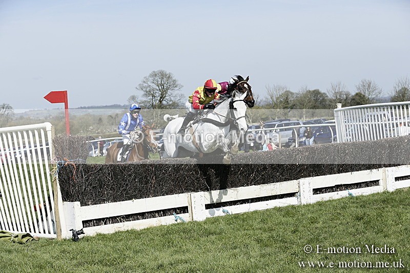 PtP 260317 118 - Mendip Farmers Point-to-Point Ston Easton 26/03/17