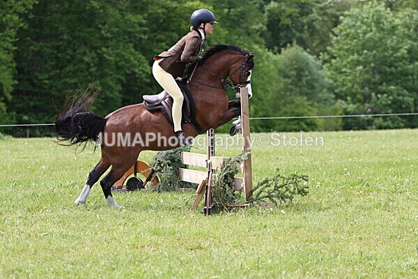IMG_2897 - Working Hunter