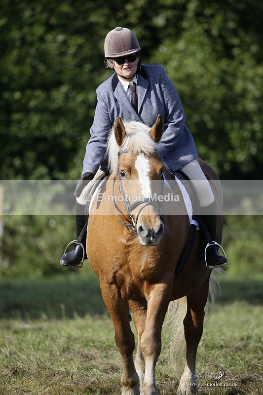 BVRC 120921 97 - Bourne Valley Riding Club UA Dressage & Show Jumping 12/09/21