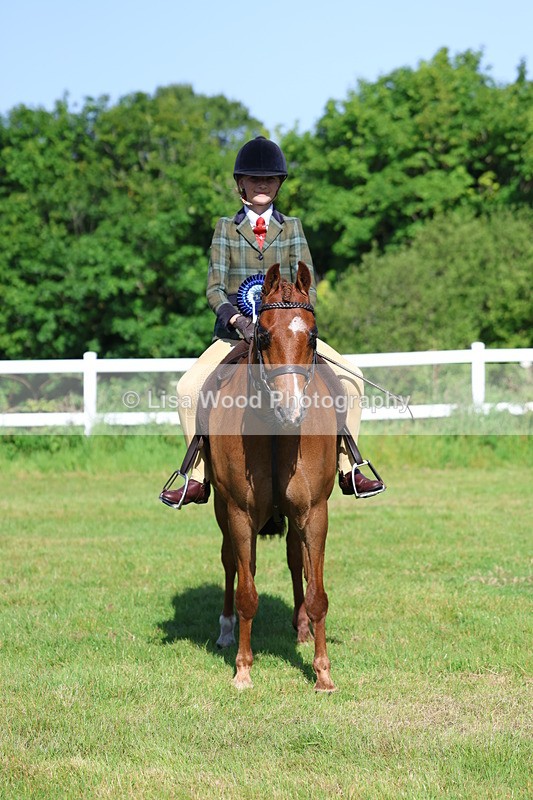 3E7A6045 - Class 27: Novice Working Hunter Pony