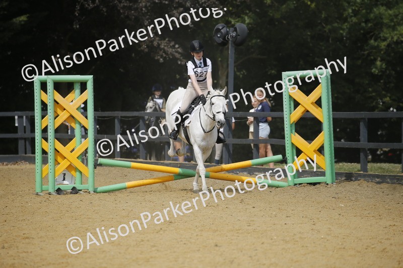 20250622-3902 - 50cm