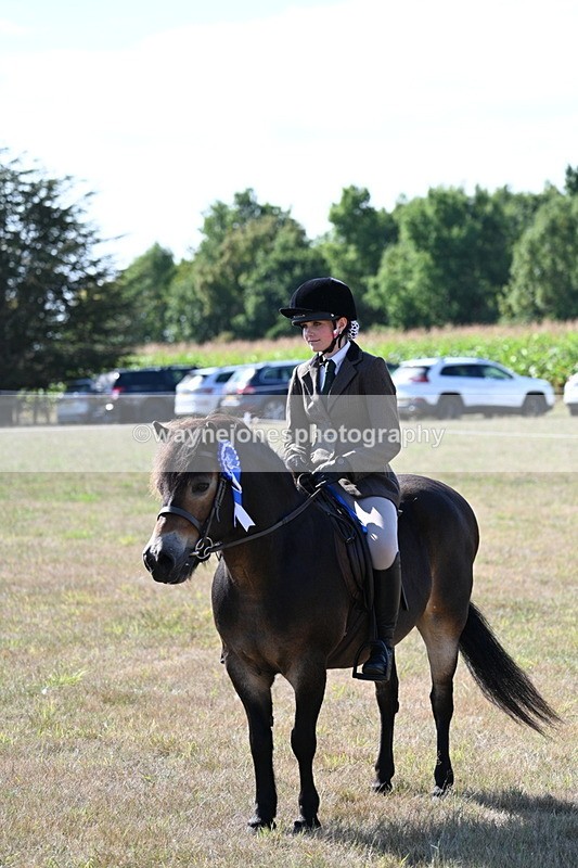 WJ7_3216 - Class 8 Ridden Tack & Turnout