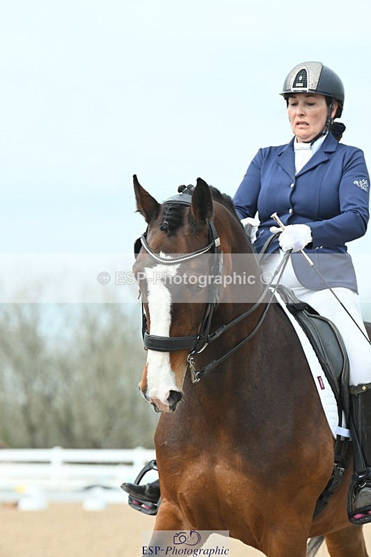 250403-134544-02690 - 037-Fay.Lai-Greenlanes.Lullaby