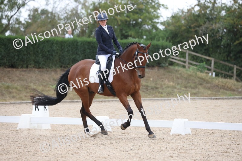 20250820-0375 - Class 11 - My Quest Novice 3