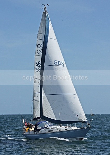 090822 BLUESHANK IMG_1085 - Sailboats - monohull