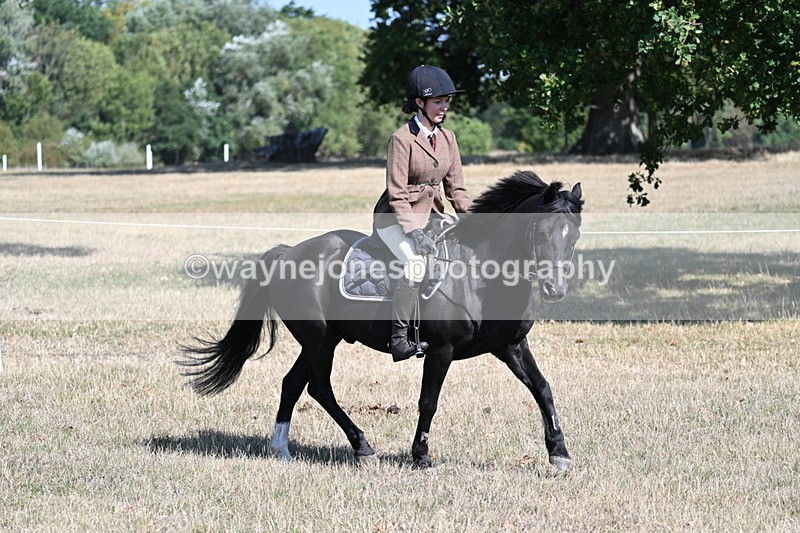 WJ7_3801 - Class 9 Mountain & Moorland Ridden