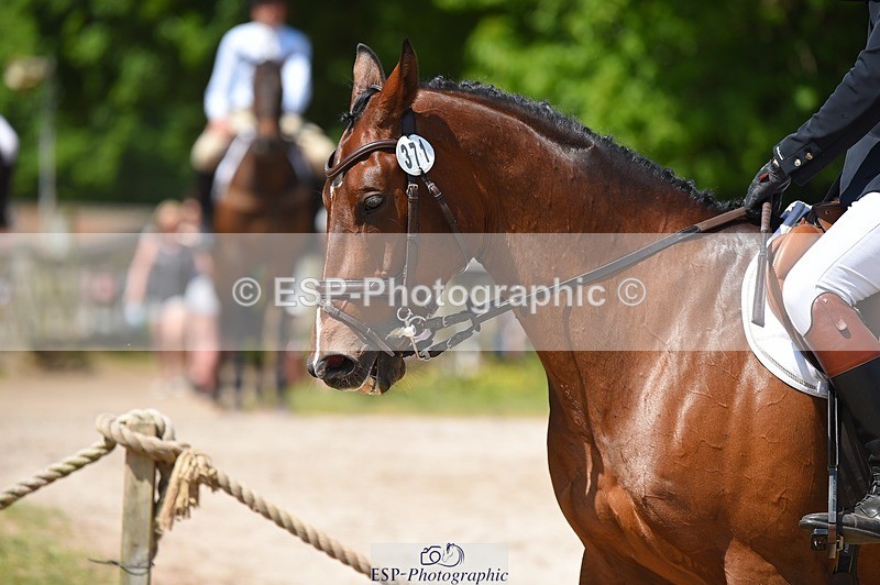 230528-114310-15345 - 371-JERPOINT_ECLIPSE-Max_Gordon-SUNTrotUp+SJ