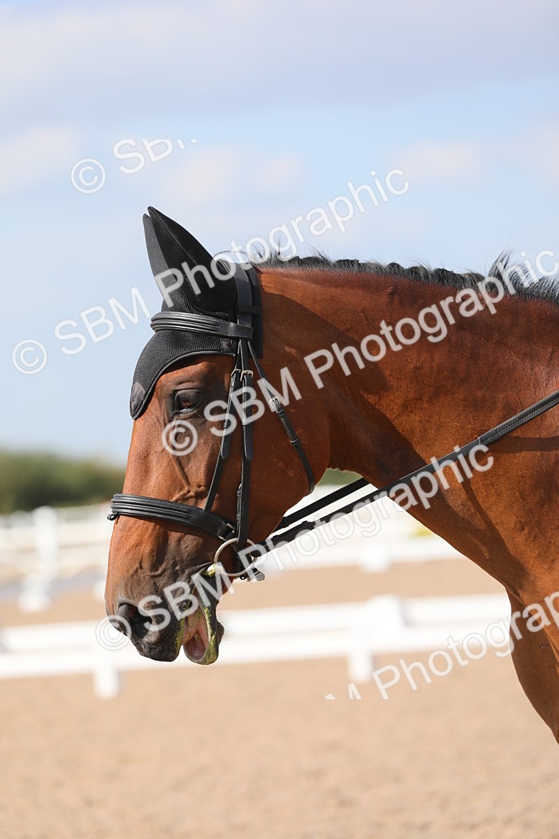 SBM_07816 - Class 33 Elementary 1