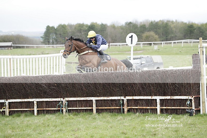 PtP 260323 0462 - New Forest Hounds Point-to-Point Larkhill 26/03/23