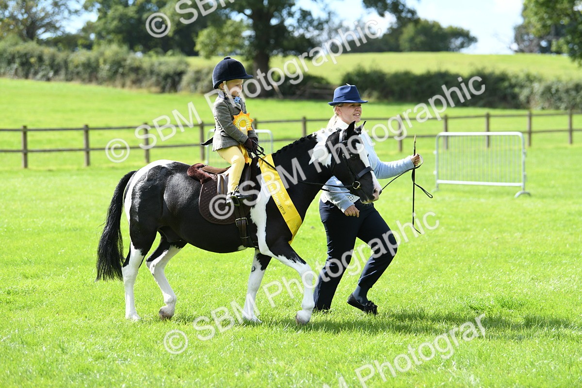 SBM_41281 - S19 - Lead Rein Show & Show Hunter Pony