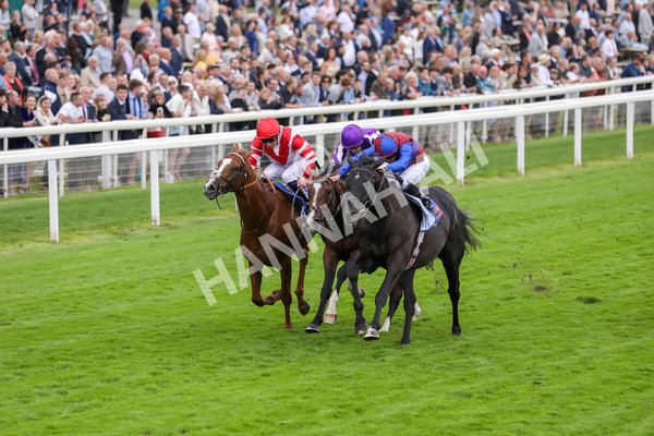 210824-Race 3-Los Angeles-7262 - Race 3 3.00pm Sky Bet Great Voltigeur Stakes