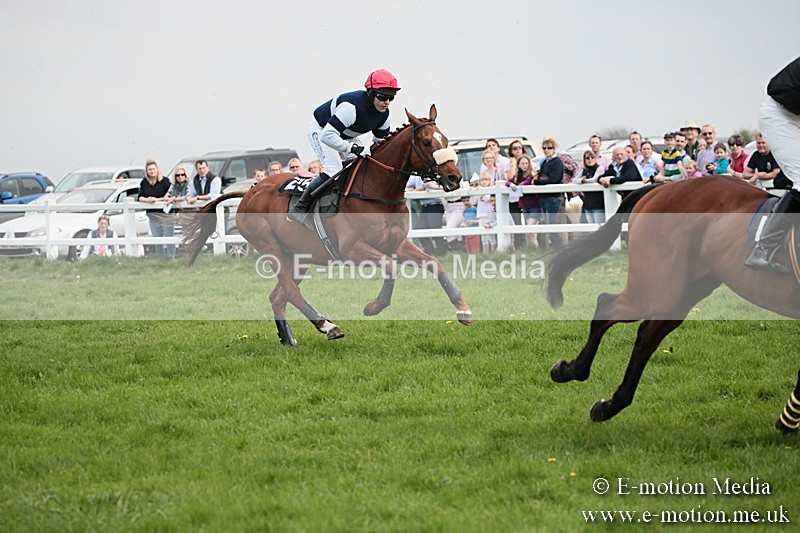 PtP 210418 350 - South & West Wilts Point-to-Point Larkhill 21/04/18