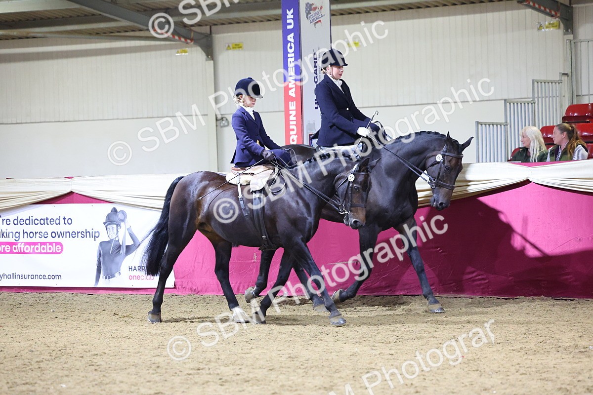 0B8A4301 - Class M Ridden Pairs Champ