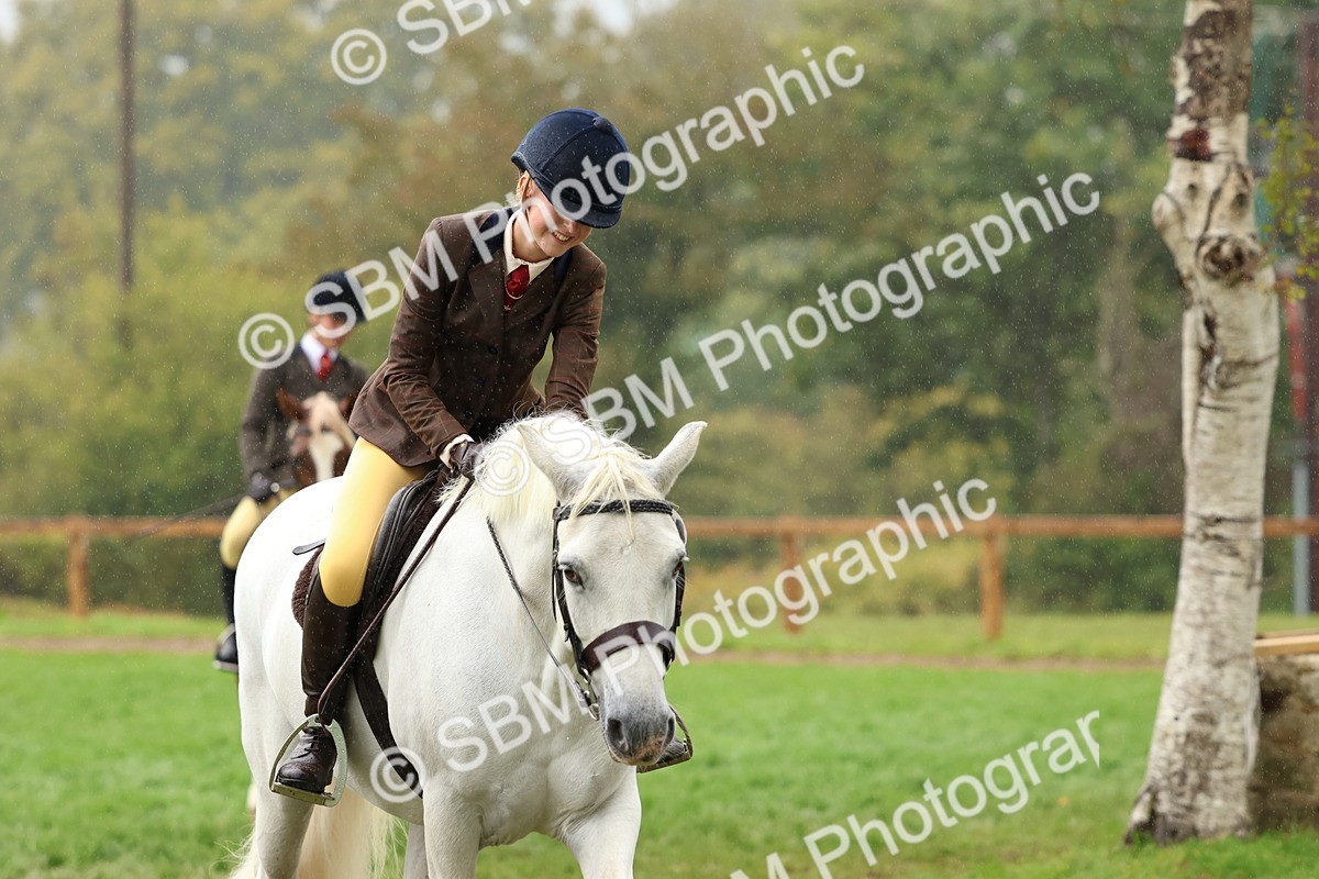 SBM_69722 - S62 - Mountain & Moorland Ridden Large Breeds