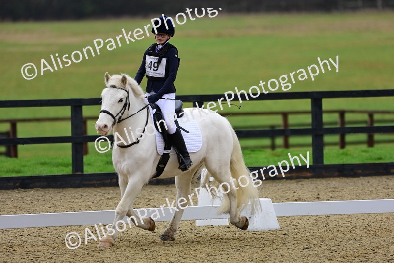 20260125-0588 - Class 9b - Walk Trot Unassisted