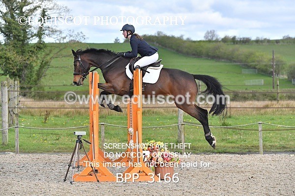 BPP_3166 - CLASS 1 Clear Round Show Jumping