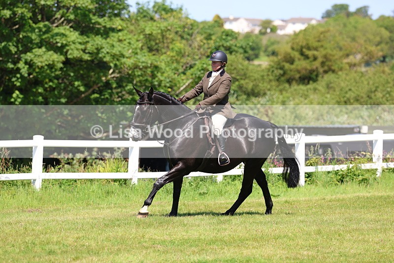 3E7A7015 - Class 30: Novice Working Hunter