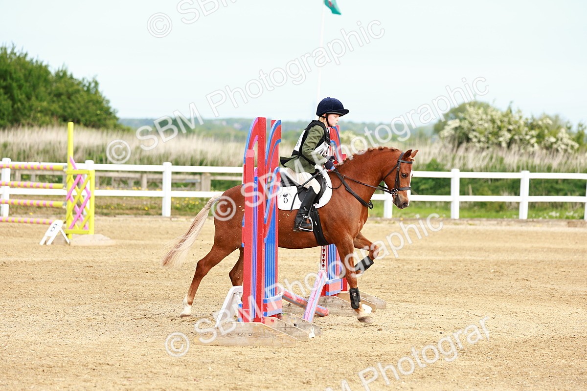 SBM_006524 - Class 1 - 40cm