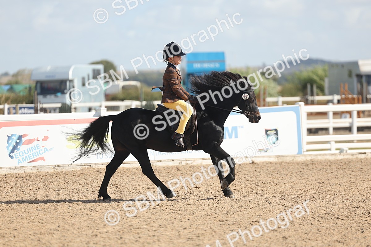 SBM_23091 - Class 806 - Young Rider 10ry and Under