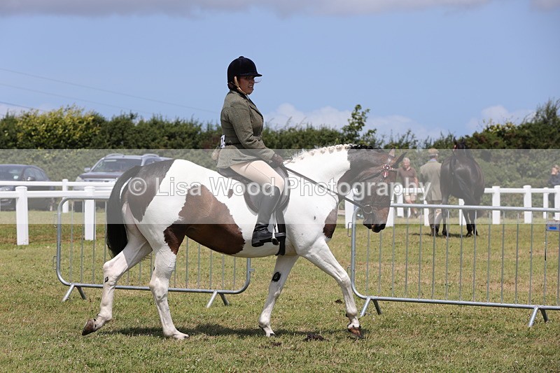 1X9A4262 - Class 34: Veteran Ridden