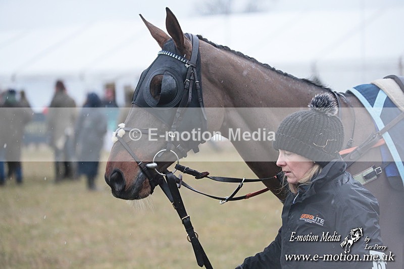 PtP 260125 134 - Cocklebarrow Point-to-Point racing with the Heythrop Hunt 26/01/25